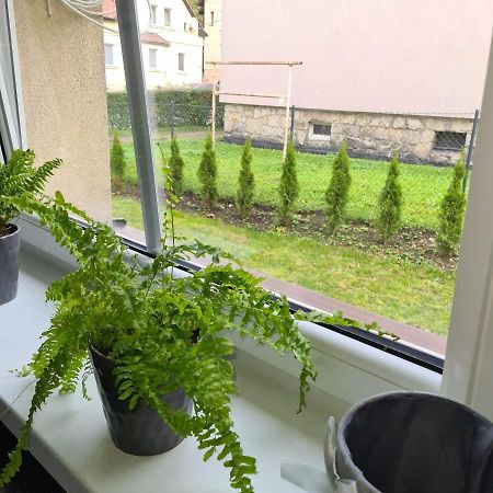 Apartament Przy Rondzie Клодзко Экстерьер фото